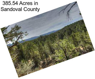 385.54 Acres in Sandoval County