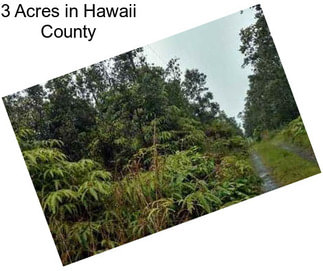 3 Acres in Hawaii County