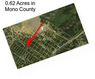 0.62 Acres in Mono County