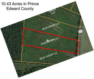 10.43 Acres in Prince Edward County