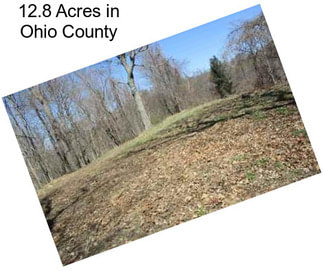 12.8 Acres in Ohio County