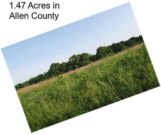 1.47 Acres in Allen County