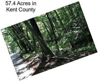 57.4 Acres in Kent County