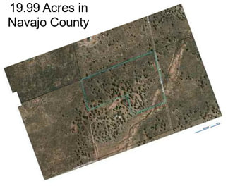 19.99 Acres in Navajo County