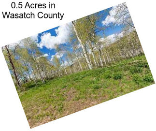 0.5 Acres in Wasatch County