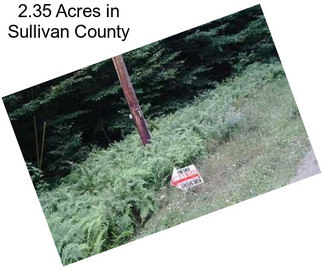 2.35 Acres in Sullivan County