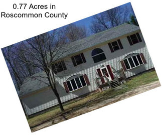 0.77 Acres in Roscommon County