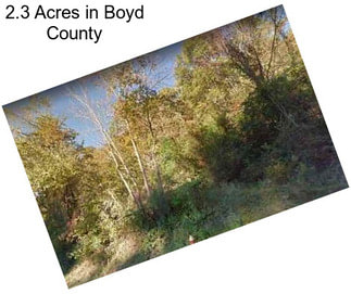 2.3 Acres in Boyd County