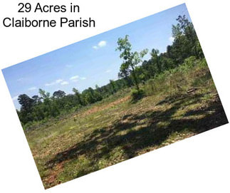 29 Acres in Claiborne Parish