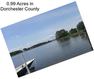 0.99 Acres in Dorchester County