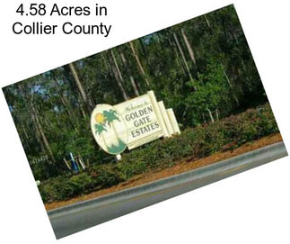 4.58 Acres in Collier County