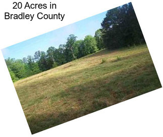 20 Acres in Bradley County