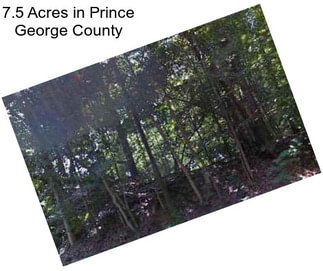 7.5 Acres in Prince George County