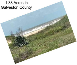 1.38 Acres in Galveston County