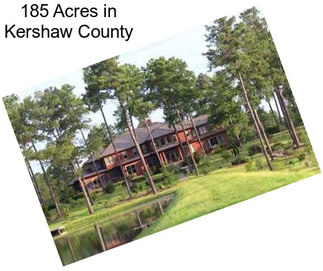 185 Acres in Kershaw County