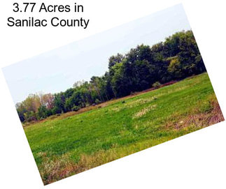 3.77 Acres in Sanilac County