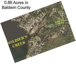 0.86 Acres in Baldwin County