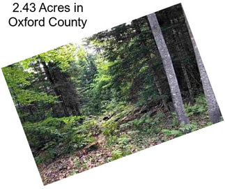 2.43 Acres in Oxford County