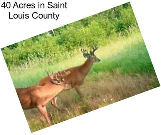 40 Acres in Saint Louis County