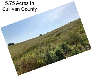 5.75 Acres in Sullivan County