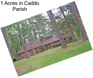 1 Acres in Caddo Parish