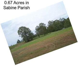 0.67 Acres in Sabine Parish