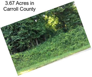 3.67 Acres in Carroll County