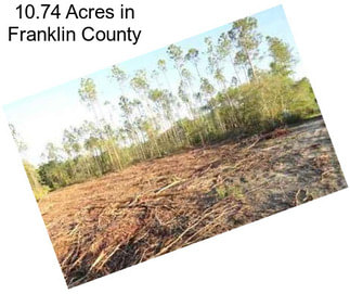 10.74 Acres in Franklin County