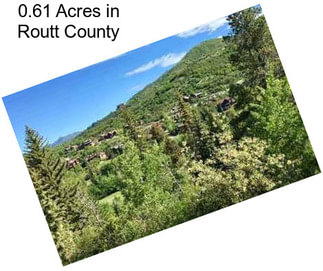 0.61 Acres in Routt County
