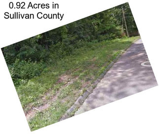 0.92 Acres in Sullivan County