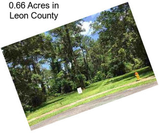 0.66 Acres in Leon County