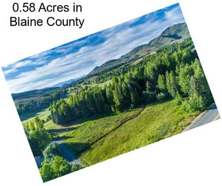 0.58 Acres in Blaine County