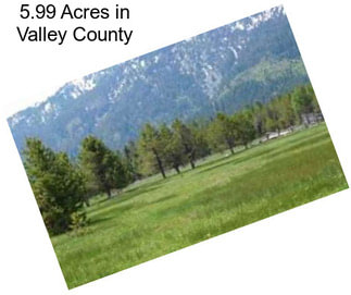 5.99 Acres in Valley County