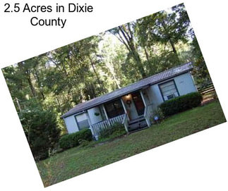 2.5 Acres in Dixie County