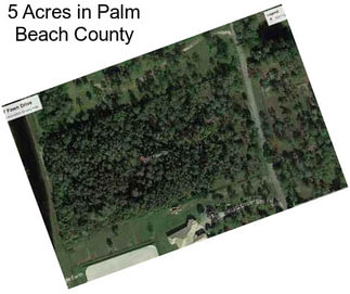 5 Acres in Palm Beach County