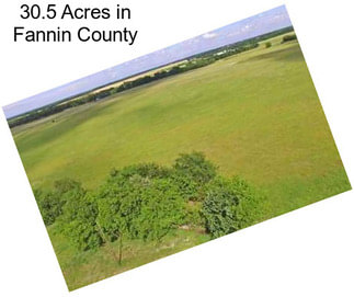 30.5 Acres in Fannin County