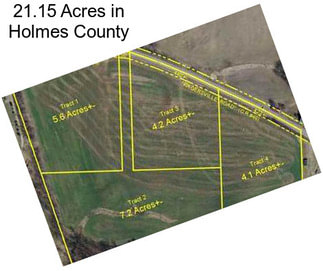 21.15 Acres in Holmes County