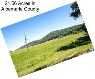 21.56 Acres in Albemarle County