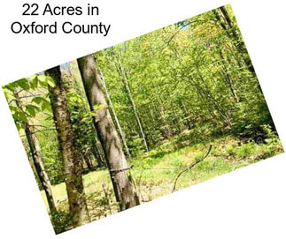 22 Acres in Oxford County