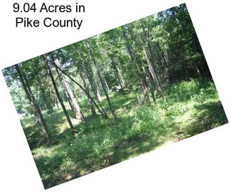 9.04 Acres in Pike County