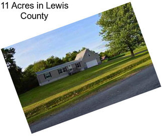 11 Acres in Lewis County