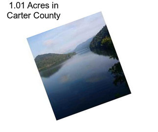 1.01 Acres in Carter County