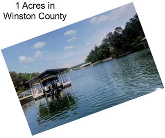 1 Acres in Winston County