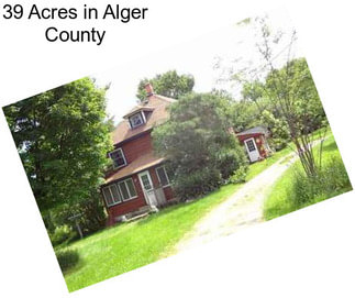 39 Acres in Alger County