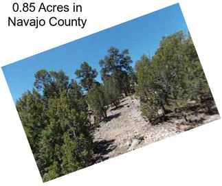 0.85 Acres in Navajo County