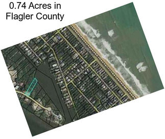 0.74 Acres in Flagler County