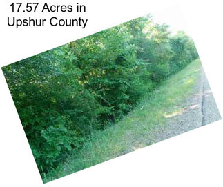 17.57 Acres in Upshur County