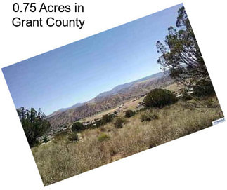 0.75 Acres in Grant County