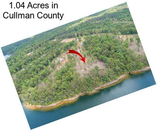 1.04 Acres in Cullman County