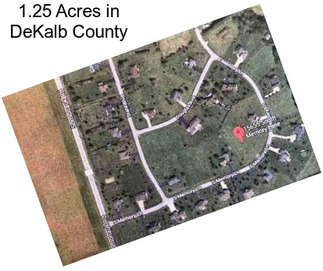 1.25 Acres in DeKalb County